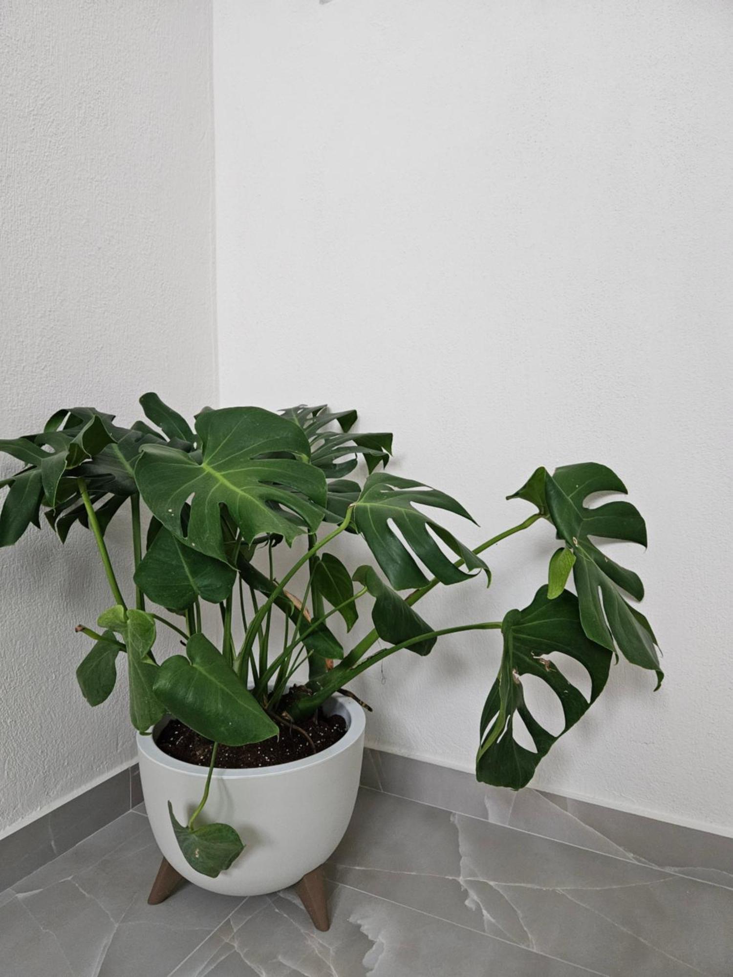 Marivar Living Apartment Nea Fokea